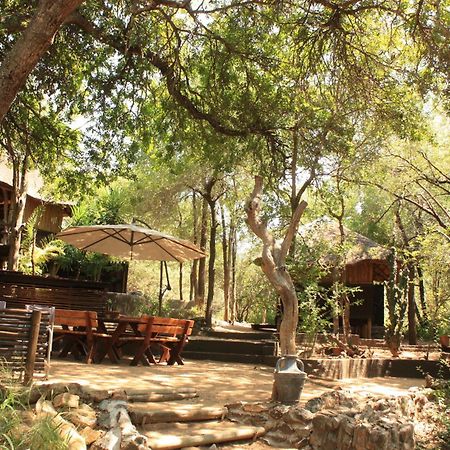 Off Beat Safaris Bush Lodge Hoedspruit Dış mekan fotoğraf