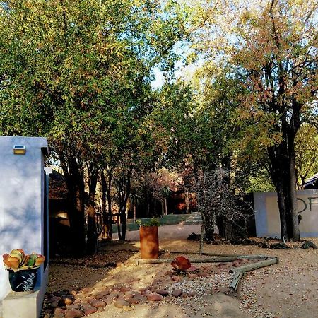 Off Beat Safaris Bush Lodge Hoedspruit Dış mekan fotoğraf