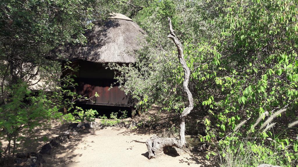 Off Beat Safaris Bush Lodge Hoedspruit Dış mekan fotoğraf