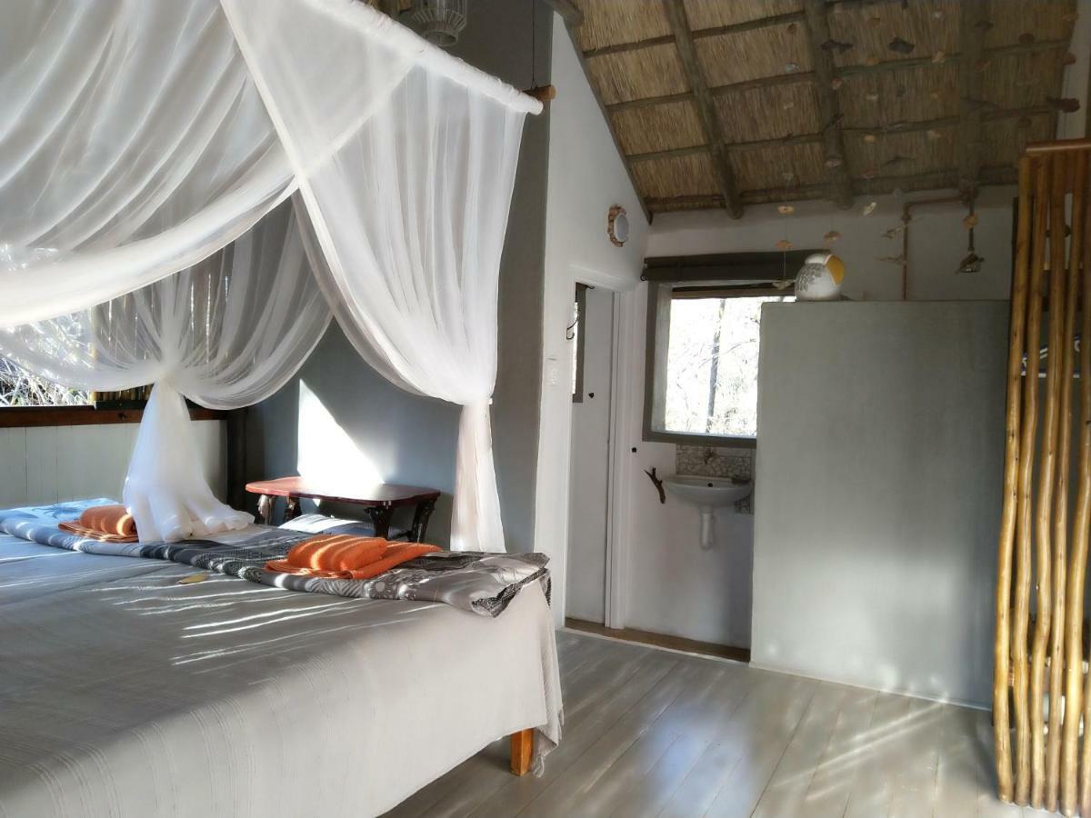 Off Beat Safaris Bush Lodge Hoedspruit Dış mekan fotoğraf