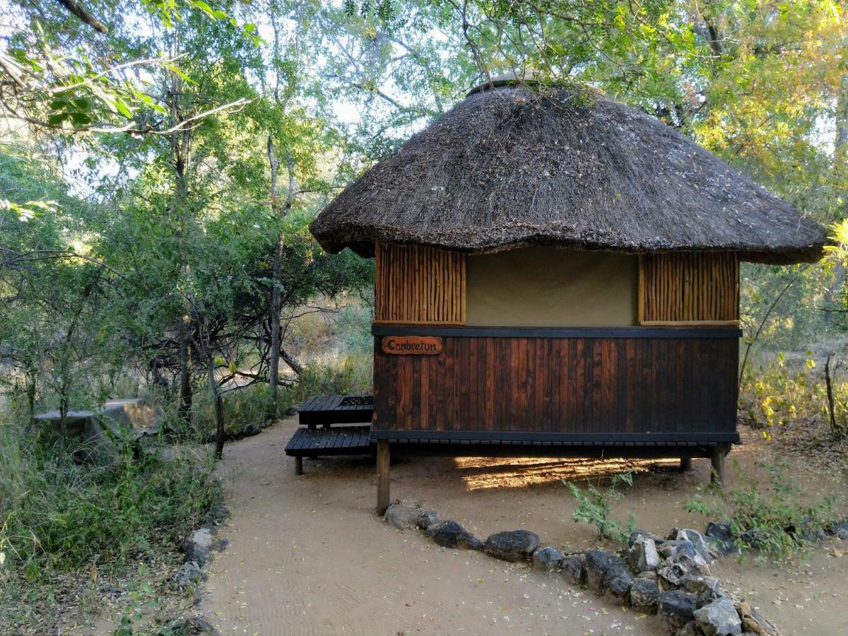 Off Beat Safaris Bush Lodge Hoedspruit Dış mekan fotoğraf