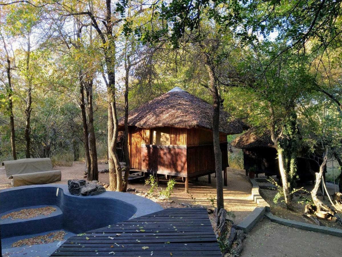 Off Beat Safaris Bush Lodge Hoedspruit Dış mekan fotoğraf