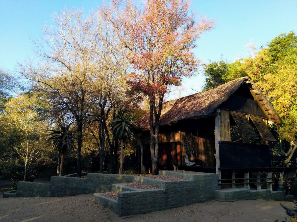 Off Beat Safaris Bush Lodge Hoedspruit Dış mekan fotoğraf