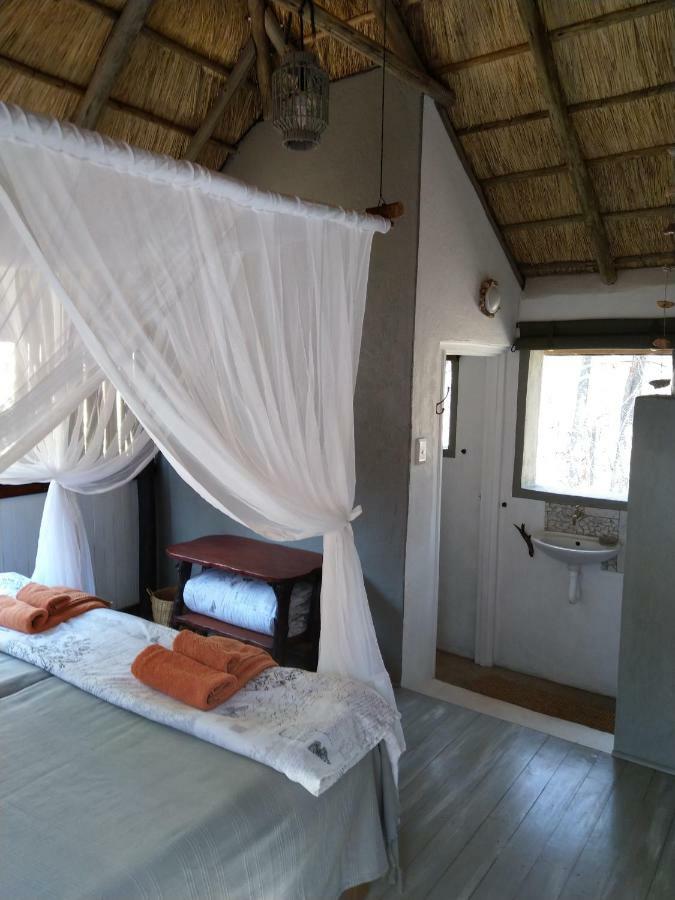 Off Beat Safaris Bush Lodge Hoedspruit Dış mekan fotoğraf